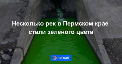 Несколько рек в Пермском крае стали зеленого цвета