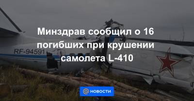 Минздрав сообщил о 16 погибших при крушении самолета L-410