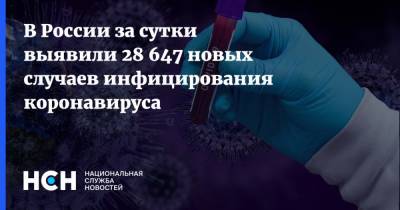 В России за сутки выявили 28 647 новых случаев инфицирования коронавируса