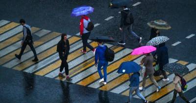 Синоптики предупредили о дождях в Москве