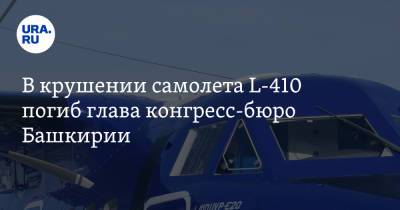 В крушении самолета L-410 погиб глава конгресс-бюро Башкирии