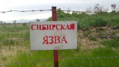 В Украине зафиксировали сибирскую язву, введен карантин