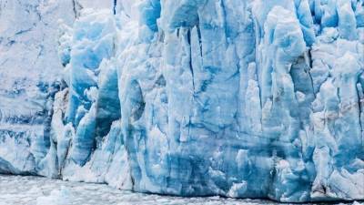 Нобелевский лауреат предсказал появление опасных вирусов из-за таяния ледников