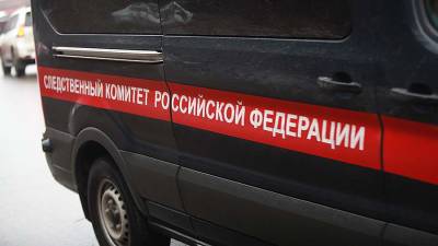 Уголовное дело возбуждено по факту крушения самолета L-410 в Татарстане