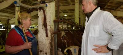 В день работников сельского хозяйства глава Карелии напомнил о скандале с молокозаводами