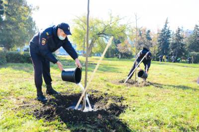 В Пензе сотрудники полиции высадили деревья в Октябрьском сквере