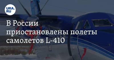 В России приостановлены полеты самолетов L-410