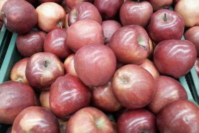 В магазинах Саратова резко подорожали яблоки