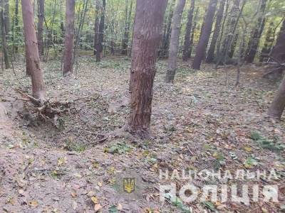 В Черновицкой области мужчина в лесу подорвался на старом снаряде, он погиб