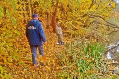 МЧС патрулирует 10 территорий Смоленской области 10 октября
