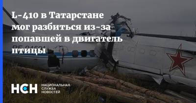 L-410 в Татарстане мог разбиться из-за попавшей в двигатель птицы