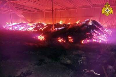 В воскресенье не вовремя и неправильно горел уголь в Смоленской области