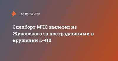 Спецборт МЧС вылетел из Жуковского за пострадавшими в крушении L-410