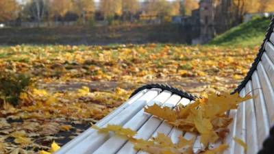 Похолодание до +12 градусов и отсутствие осадков ожидается в Петербурге 11 октября