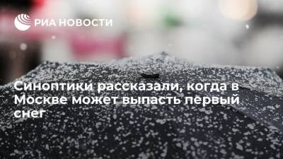 Синоптик рассказал, что снег в Москве может выпасть в 20-х числах октября
