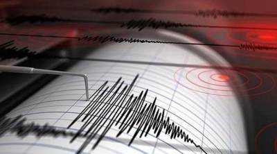 В Иране произошло землетрясение магнитудой 4,7