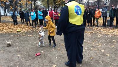 Полиция разогнала благотворительную акцию «Собака-обнимака» в Петербурге