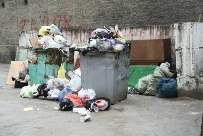 Сапожников поручил за неделю решить проблему с мусором в районе Геодезической