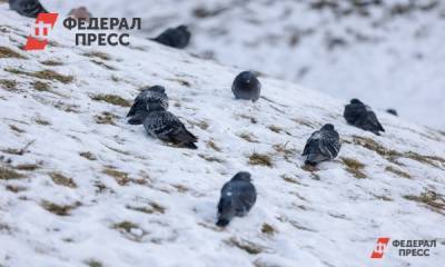 Синоптики рассказали, когда во Владивостоке выпадет первый снег