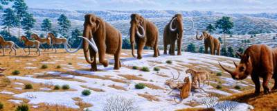 33 млн лет назад из-за резкого похолодания вымерли две трети млекопитающих Африки
