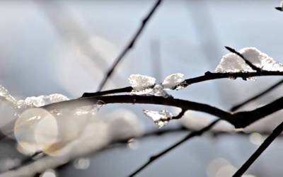 О сильных морозах можно забыть: украинцам рассказали, будет ли зима снежной и как скажутся изменения климата