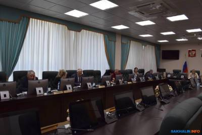 Сахалинским депутатам рассказали, зачем нужен переход на российский инсулин