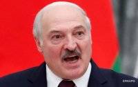 Германия подозревает Лукашенко в организации нелегальной миграции в ЕС