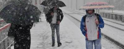 В конце недели в Приморье выпадет первый снег