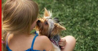 Преданные и добрые: топ-6 маленьких пород собак для детей