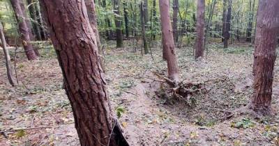 На Буковине "черный археолог" подорвался на старом боеприпасе