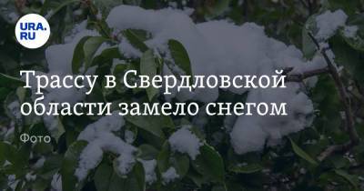 Трассу в Свердловской области замело снегом. Фото