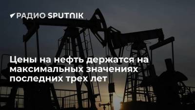 РИА Новости: цена на нефть начала расти на фоне высокой стоимости газа