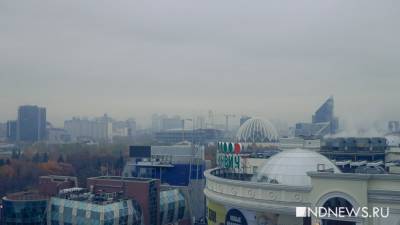 «Ветер относительно слабый»: смог над Екатеринбургом будет держаться до середины недели