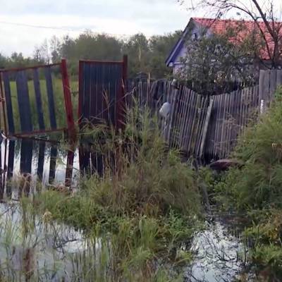 Все приусадебные участки в Хабаровском крае освободились от воды