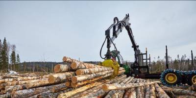 Segezha Group покупает лесопромышленные активы в Сибири за $515 млн