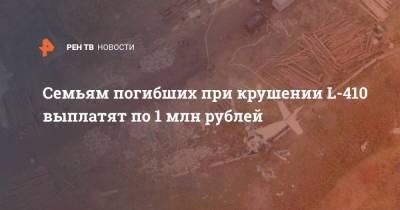 Семьям погибших при крушении L-410 выплатят по 1 млн рублей