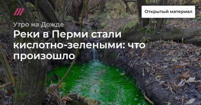 Реки в Перми стали кислотно-зелеными: что произошло