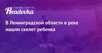 В Ленинградской области в реке нашли скелет ребенка