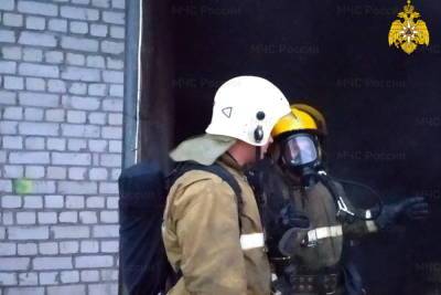 Ночью пожарные остановили огонь на пилораме в Смоленском районе