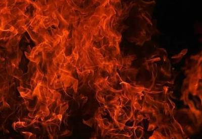 Под Николаевом пожар в частном доме унес жизни трех человек
