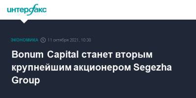 Bonum Capital станет вторым крупнейшим акционером Segezha Group