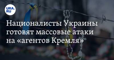 Националисты Украины готовят массовые атаки на «агентов Кремля»