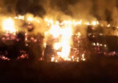 В МЧС рассказали о крупном пожаре на окраине Рязани