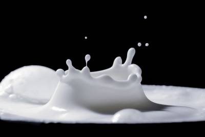 В Рязанской области уничтожили 4,5 тонны просроченной молочной продукции