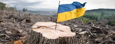 Ученый: Под Симферополем Украина вырубила сад, занесенный в книгу...