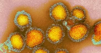 Пандемия в квадрате. Ученые ожидают сильную эпидемию гриппа зимой на фоне COVID-19