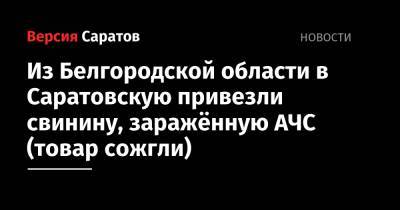 Из Белгородской области в Саратовскую привезли свинину, заражённую АЧС (товар сожгли)