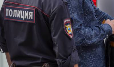 В Новосибирске задержали 14 подростков - последователей националистических идей АУЕ*