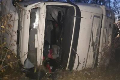 На автотрассе в Тамбовской области перевернулась фура: пострадали два человека