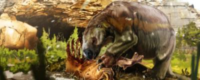 Ископаемые гигантские ленивцы Дарвина были всеядными